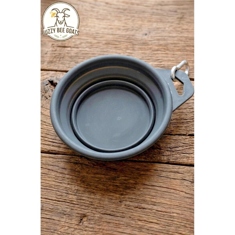 Silicone Collapsible Travel Pet Bowlwith Carabiner Clip